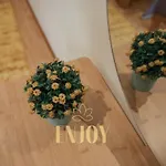 Enjoy Flat By Tonsdeverde Braga