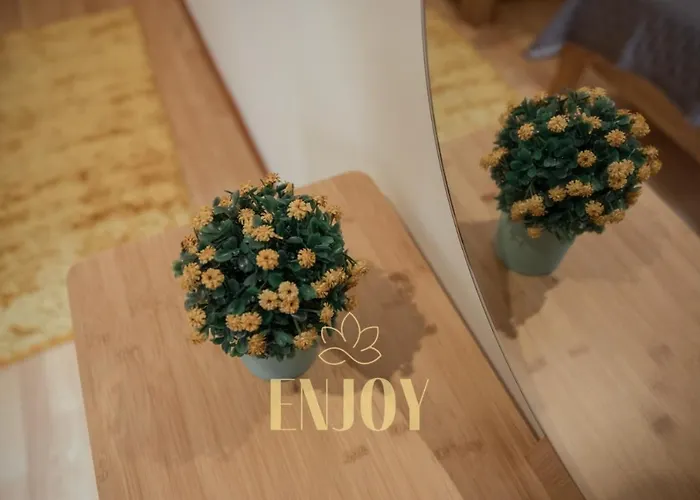 Enjoy Flat By Tonsdeverde 브라가